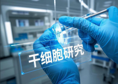 2025年风湿类风湿治疗突